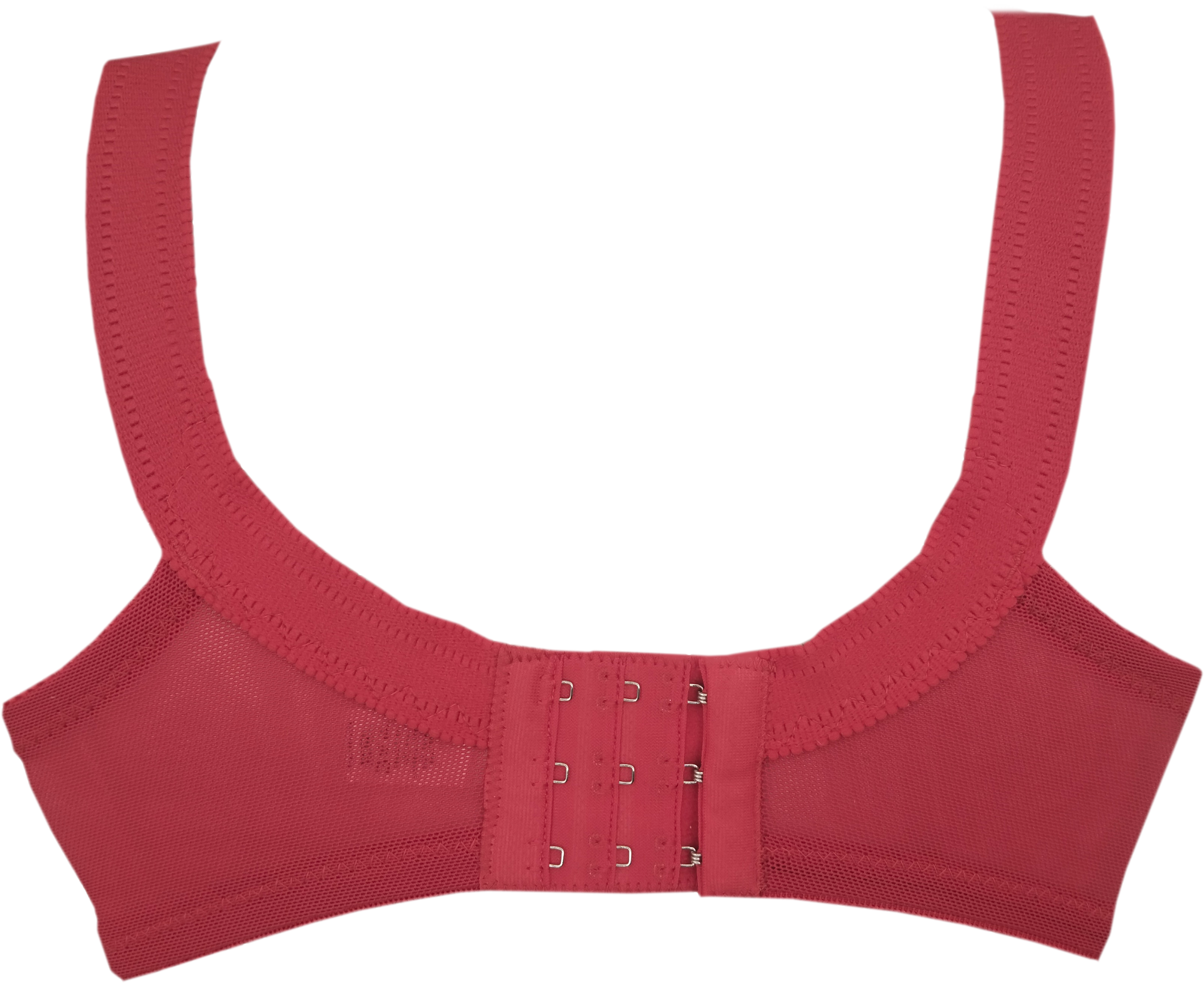 ELEGANCE DORINE BRA